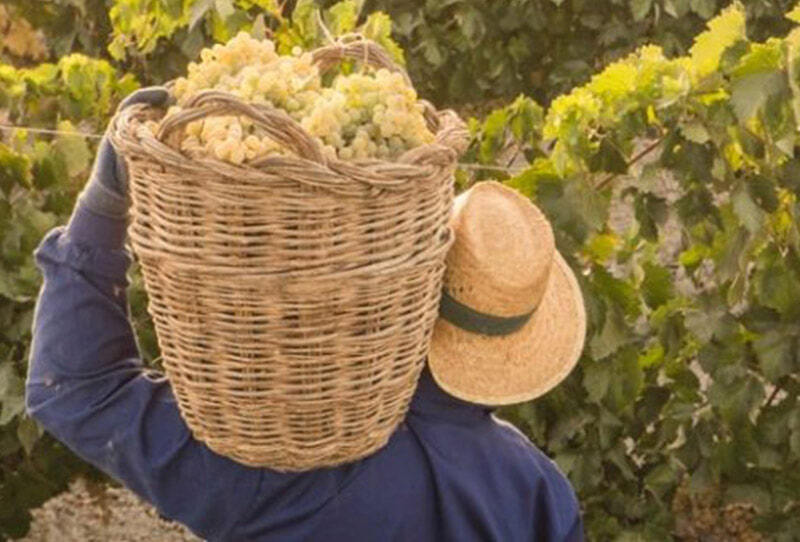 MESSAGE DANS UNE BOUTEILLE® «Aimer sans posséder, accompagner sans envahir, vivre sans dépendre» Édition WHITE