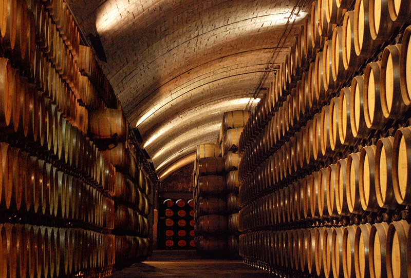 Vin blanc Premium «Fou, moi? Fou sont ceux qui continuent à faire la même chose et attendent des résultats différents» Édition WHITE