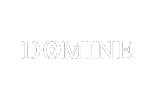 Domine® & 瓶子里的消息®